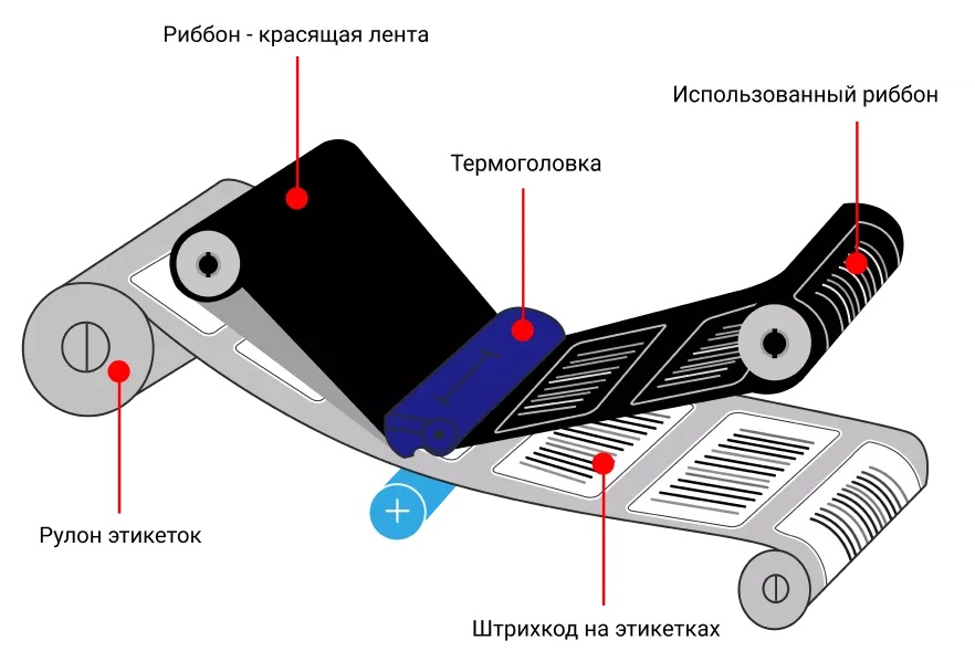 Group 47484.png