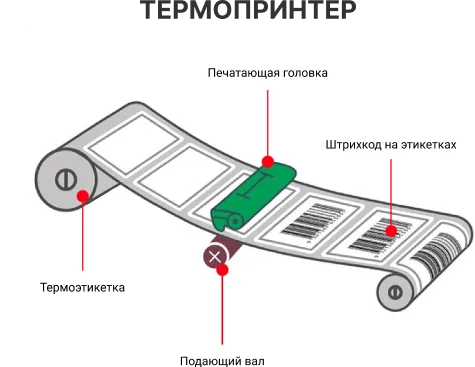 Group 473300119.png