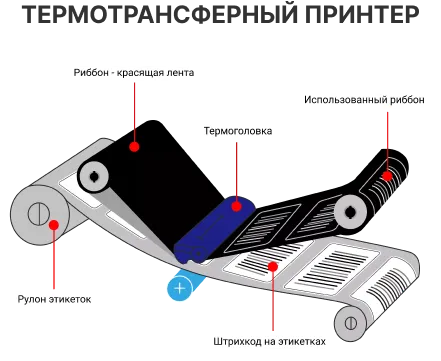 Group 473300121.png