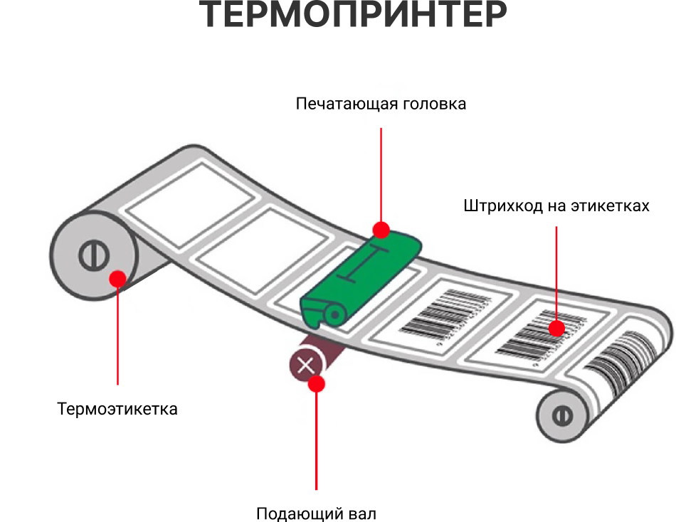 Что такое термотрансферный принтер? для чего это нужно