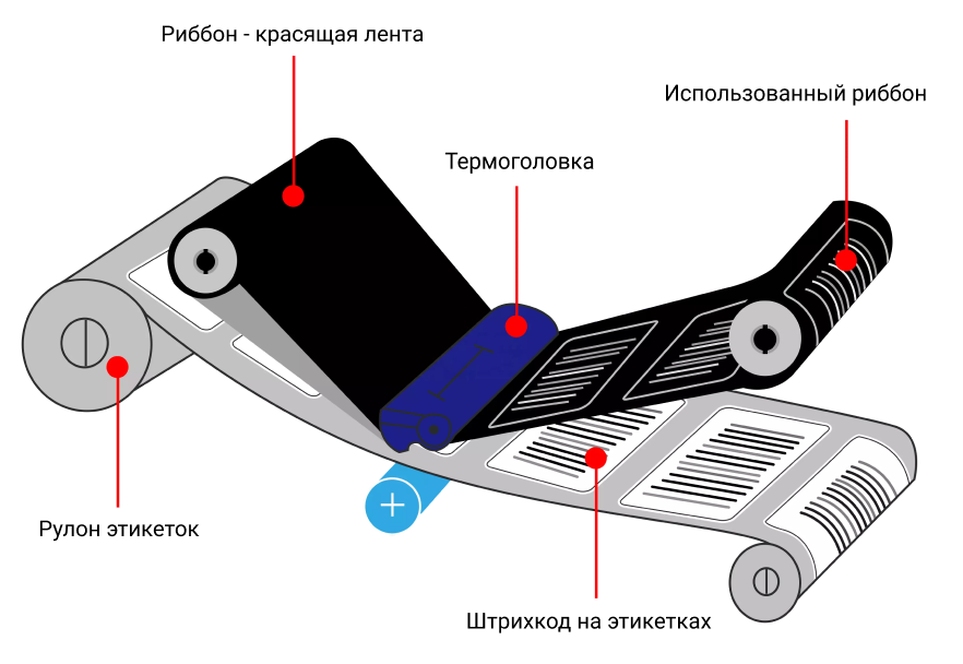 Group 47484.png Group 47484.png