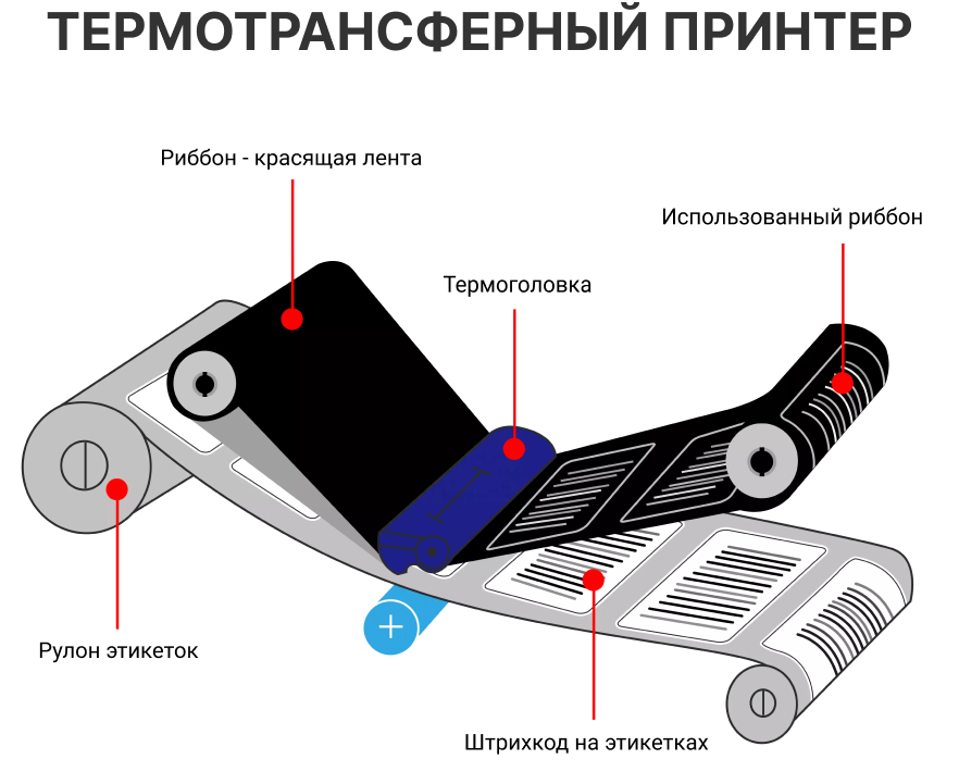 Что такое термотрансферный принтер? для чего это нужно