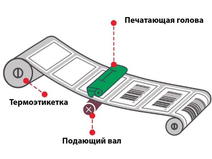 image 876.png image 876.png