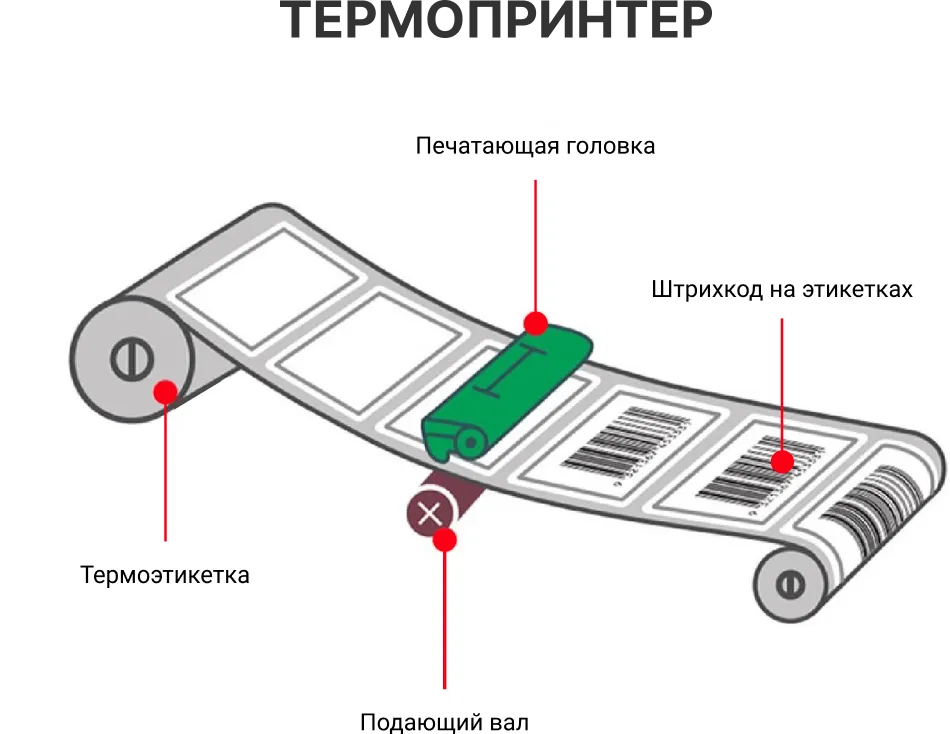 Group 473300119.png Group 473300119.png