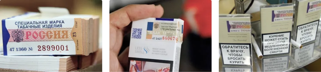 Frame 366.png Frame 366.png