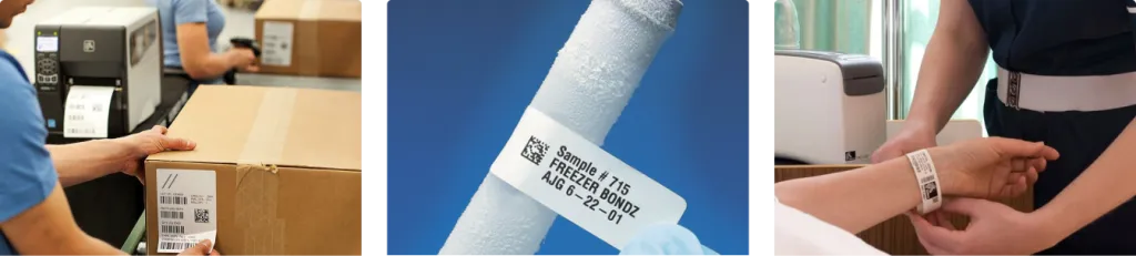 Frame 368.png Frame 368.png