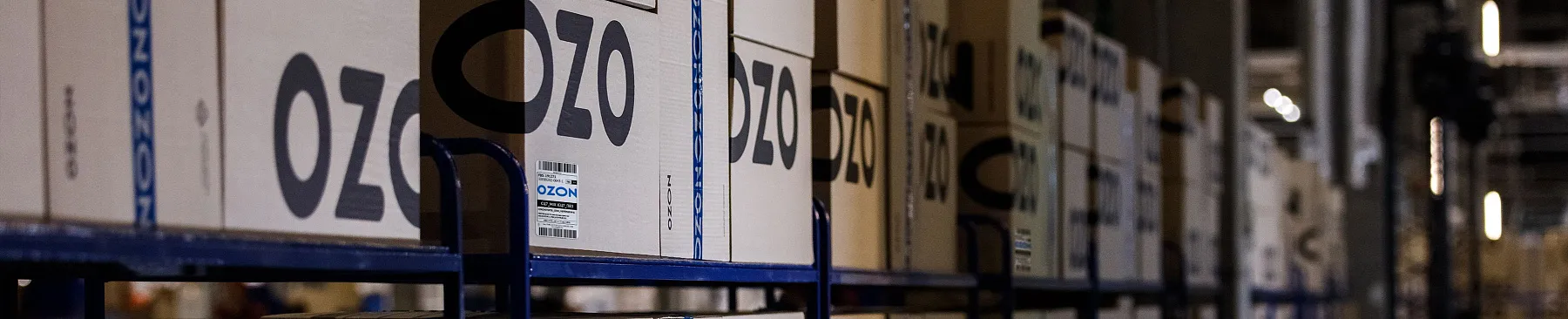 Как настроить принтер этикеток для маркетплейса Озон: инструкция